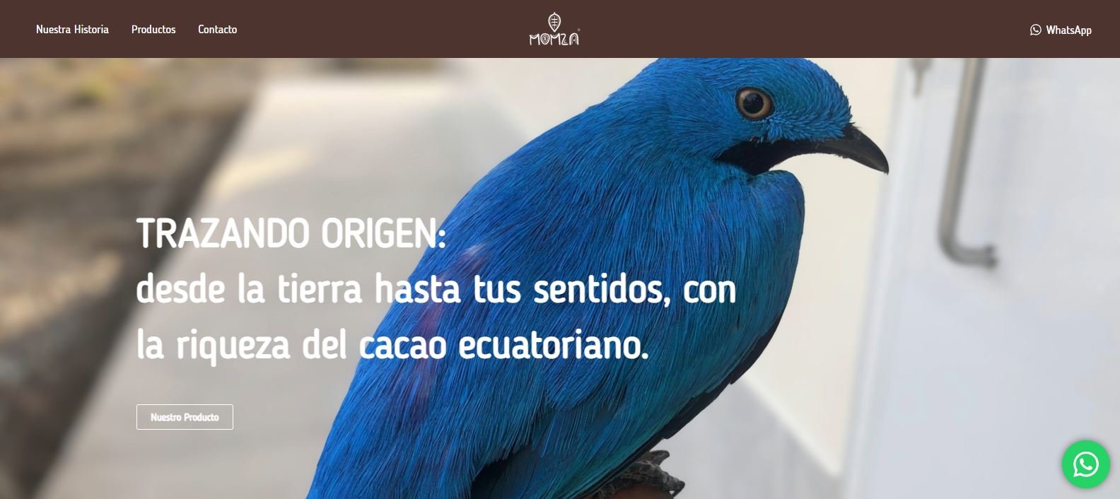 MOMZA — Chocolate de origen